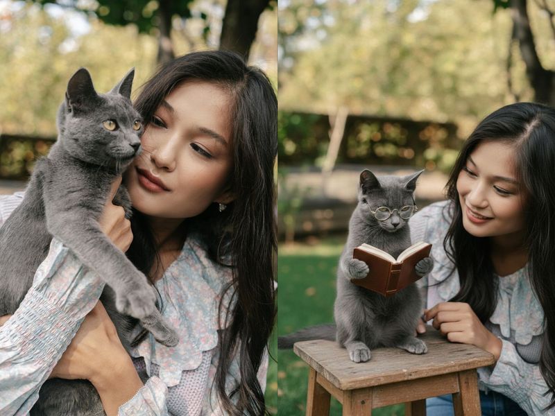 Cat reading a book example